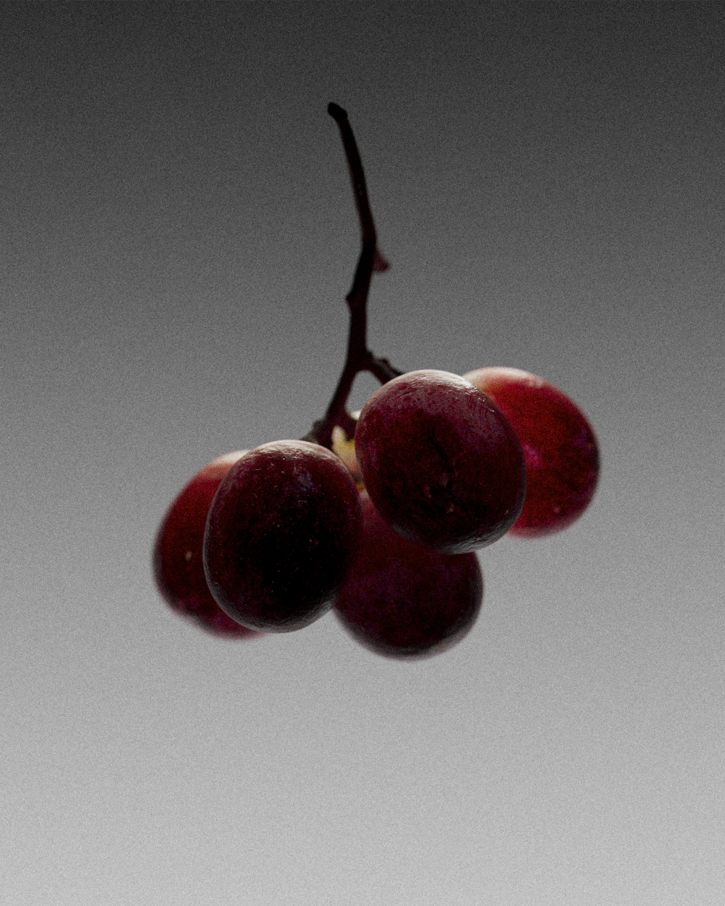 our kind of, project: BATUSSA® (fig. 3)