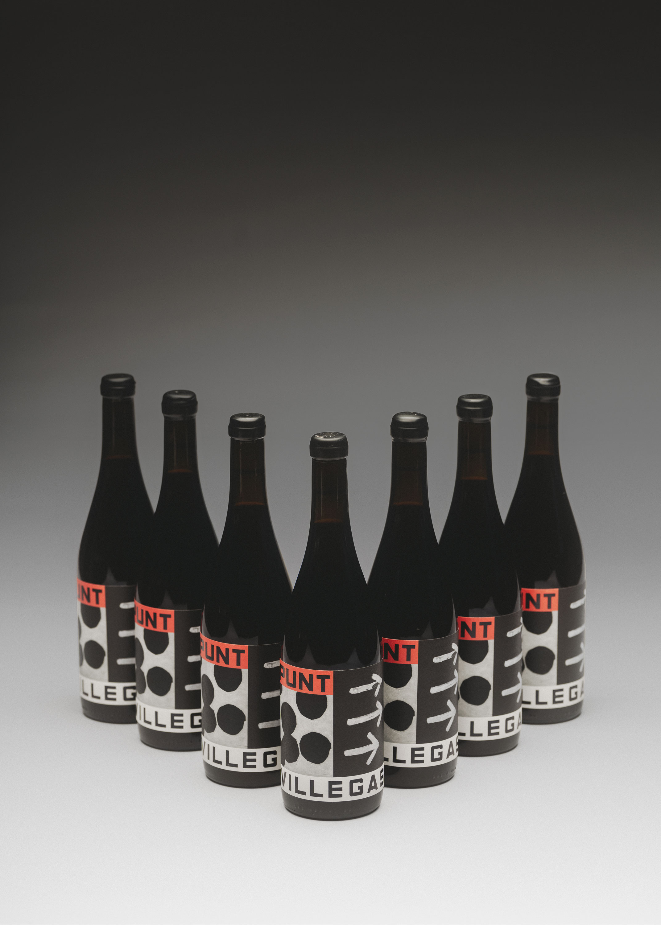 our kind of, project: Punt Villegas (fig. 10)