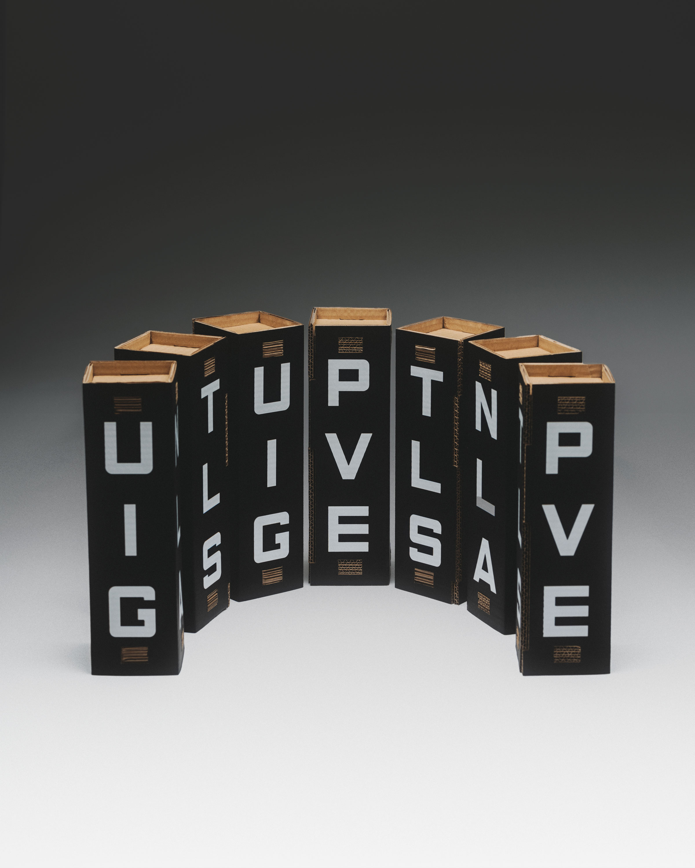 our kind of, project: Punt Villegas (fig. 11)